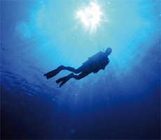 Non-Celebrity Diver Non-Celebrity Diver