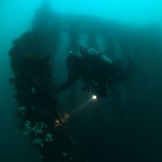 Underwater photographer Kitty Jempson, wreck and scuba diver