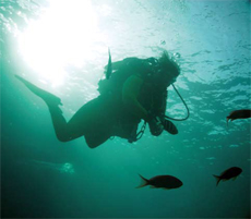 Non-Celebrity Diver, Ann Pendlebury