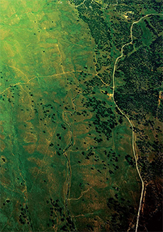 Land (Open)