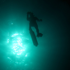 Underwater photographer Patrick Caulfield, freediver