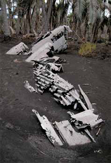 Mechanical carcass