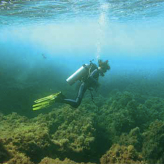 Underwater photographer Dan Smith, diver