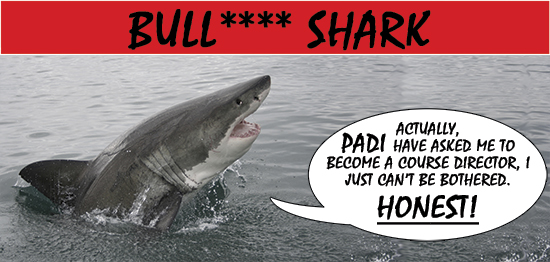 Issue 14 archive - Bull**** Shark