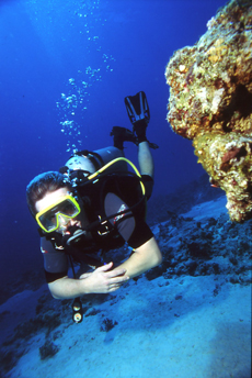 Diver diving