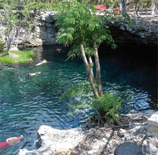 Cenote entrance