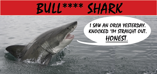 Issue 3 archive - Bull**** Shark