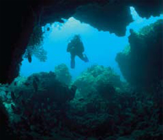 Wreck