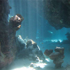 Underwater photographer Johanna Hagfoss, cave