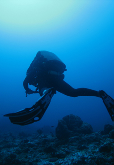 Tekkie Diving