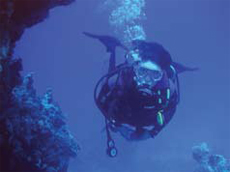 Diver, diving