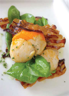 Seared Scallops with Baby Spinach and Crispy Bacon