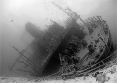 Diver, diving