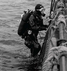 Ladder plus Diver