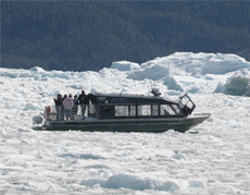 Ice Floe, Nowhere To Go