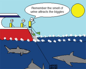Issue 6 archive - Nervous Diver