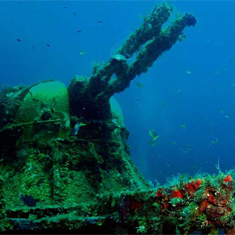 Underwater photographer Nick Stevens, gun