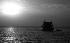 Liveaboard