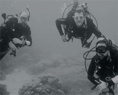 Divers