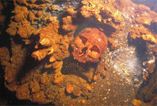 Yes, that's a human skull