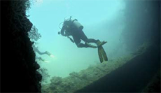 Diver