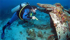 Diver