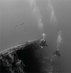 The Zenobia
