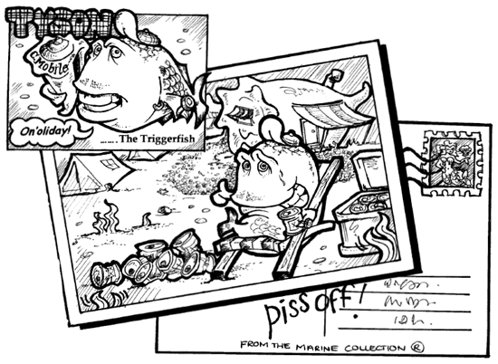 Issue 7 archive - Tyson the Triggerfish