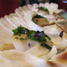 Scallops Roasted in their Shells with Wild Flowers