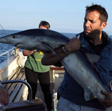 Blue Shark, White Human
