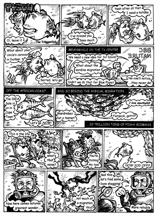 Issue 8 archive - Tyson the Triggerfish