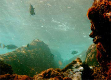 Rocks, water, that sort of thing