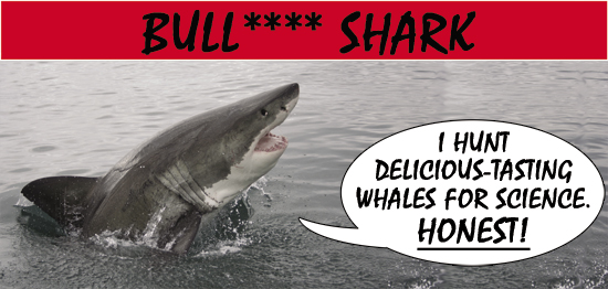 Issue 9 archive - Bull**** Shark