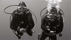 Divers