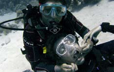 Quick Check-up, Photography by Pia Gottschalch from Blue Planet Liveaboards.