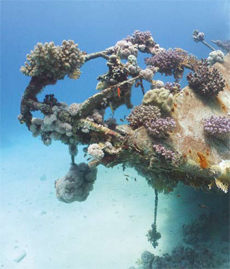 Wreck