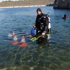 Divecrew