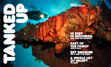 Download Tanked Up Magazine Issue 17 Download Tanked Up Magazine Issue 17
