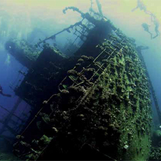 Prize-winning Ghiannis D by Spencer Burrows