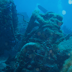 Underwater photographer Brian Flint, Corsica aircraft wreck detail