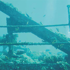 Underwater photographer Ann Pendlebury, wreck