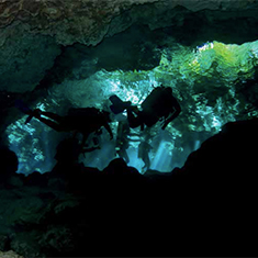 Underwater photographer Vyv Wilkins, divers