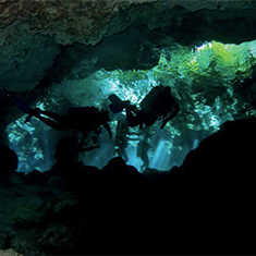 Divers by Vyv Wilkins